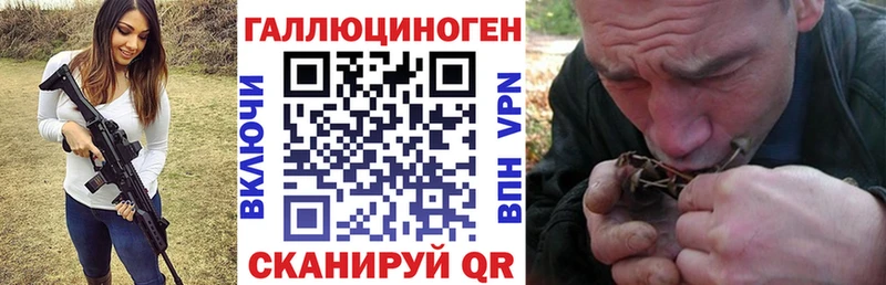 Купить где Нефтекамск Галлюциногенные грибы MAGIC MUSHROOMS